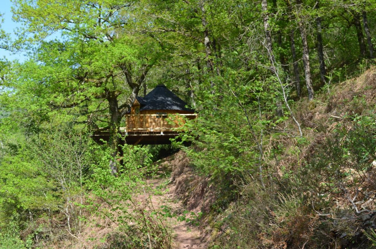 Ma Cabane En Aveyron Conques-en-Rouergue Eksteriør bilde