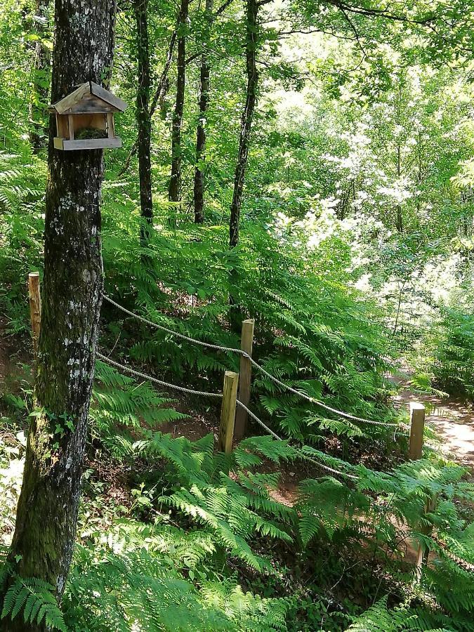 Ma Cabane En Aveyron Conques-en-Rouergue Eksteriør bilde